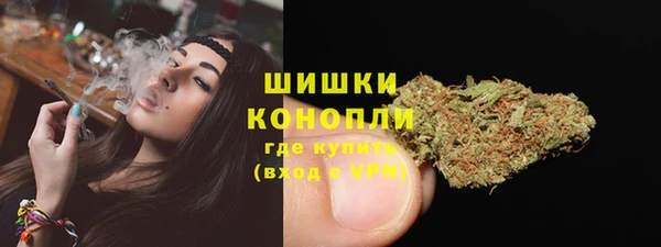 индика Белоозёрский