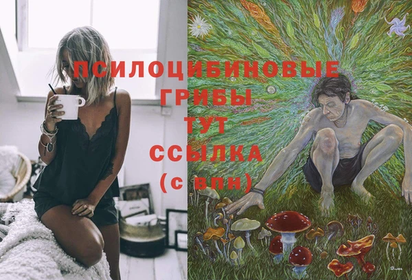 2c-b Беломорск