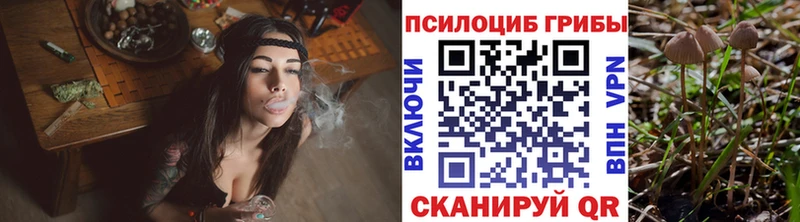 где найти наркотики  Староминская  Галлюциногенные грибы прущие грибы 